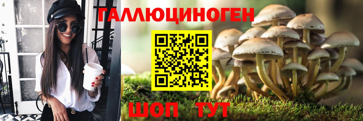 Мыски  Галлюциногенные грибы мухоморы  Вход с VPN 